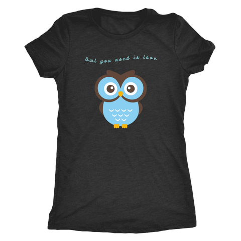Image of Owl You Need is Love T-shirt Next Level Womens Triblend Vintage Black S
