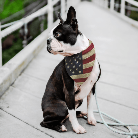 Image of American Pawtriot Bandana V.3 Pet Bandana