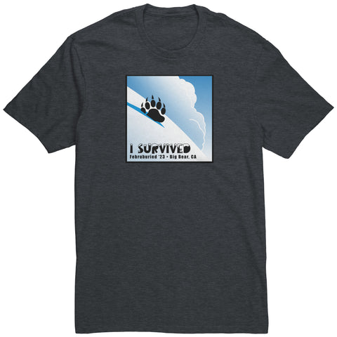 Image of Big Bear Februburied 23