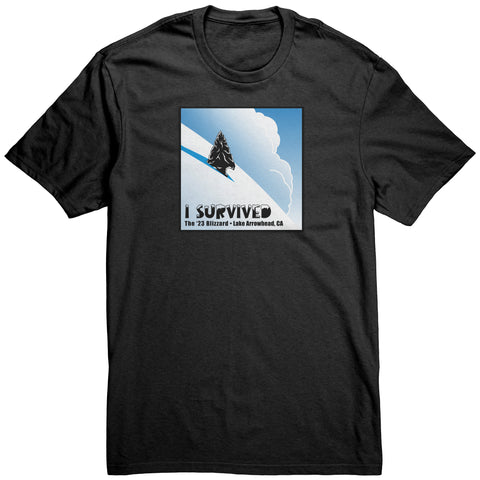 Image of Lake Arrowhead Blizzard of 23