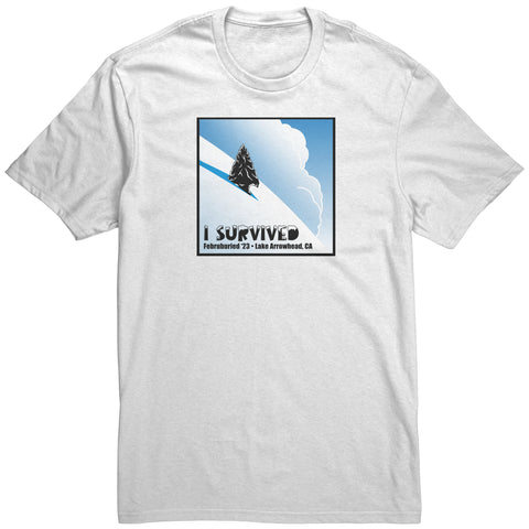 Image of Lake Arrowhead Februburied 23