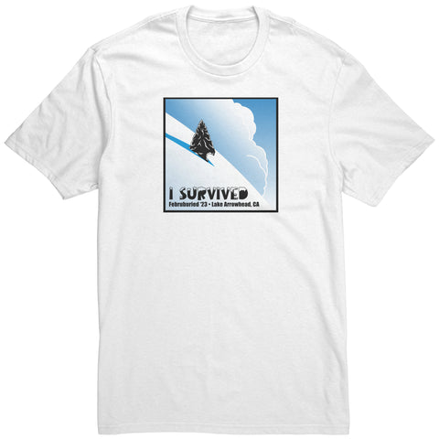 Image of Lake Arrowhead Februburied 23