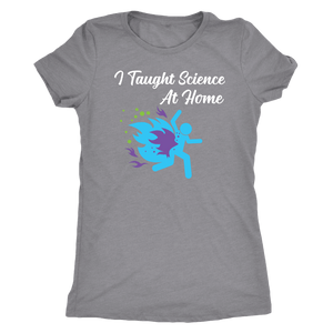 I Taught Science at Home Funny Womens T-Shirt T-shirt Next Level Womens Triblend Heather Grey S