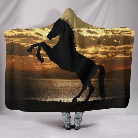 Image of Amazing Horse Silhouette at Sunset