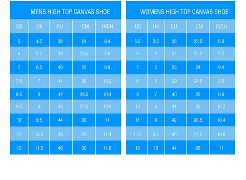 Image of Groovy Watercolor Turtle on Premium High Tops V.2