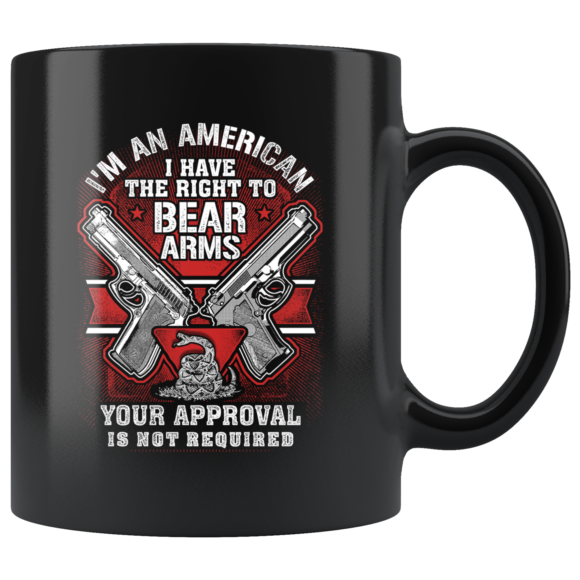 Right to Bear Arms