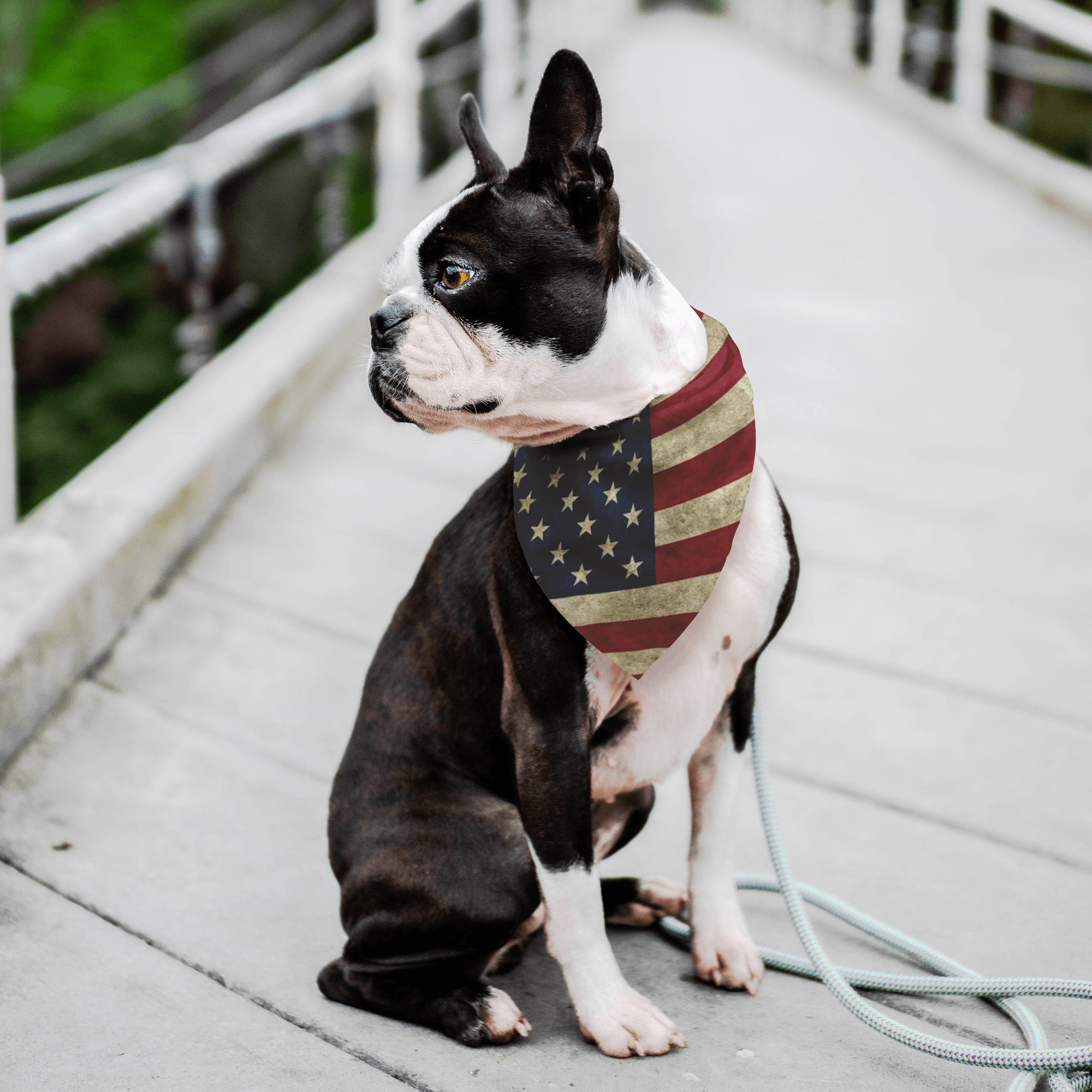 American Pawtriot Bandana V.3 Pet Bandana 