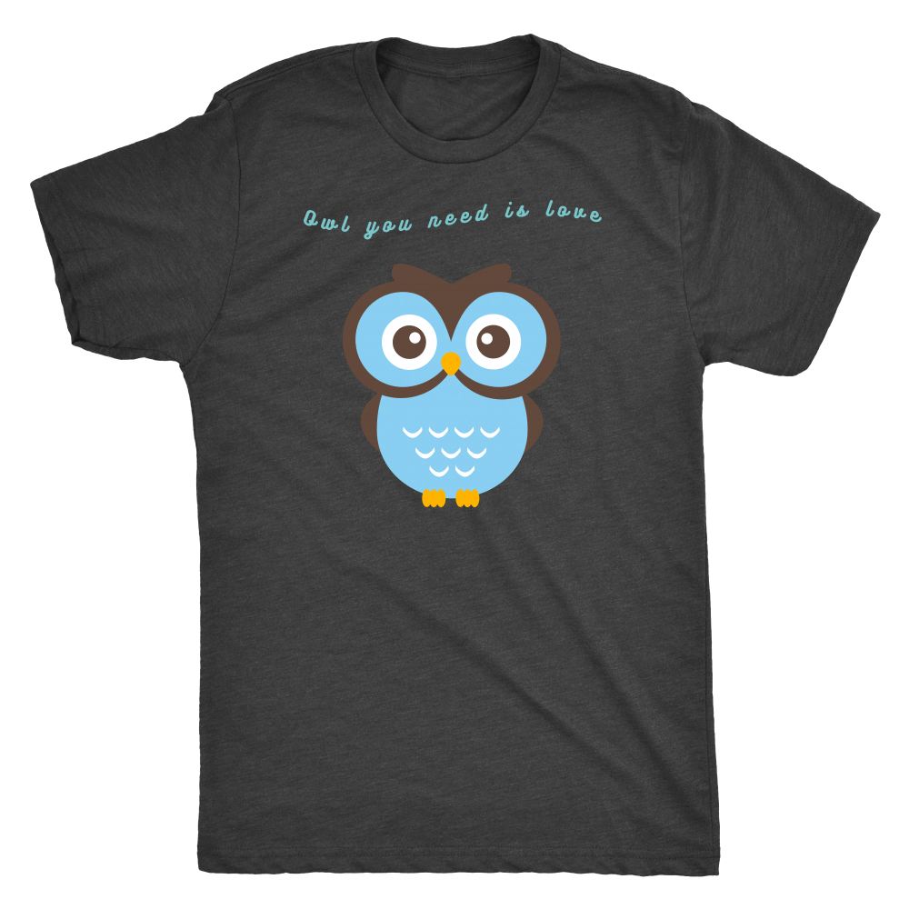 Owl You Need is Love T-shirt Next Level Mens Triblend Vintage Black S