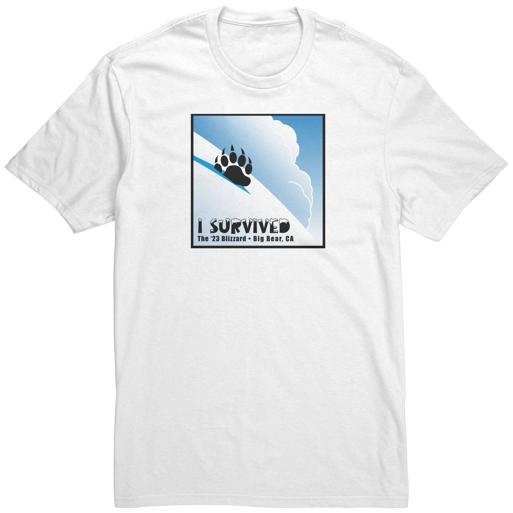 Big Bear Blizzard of 23