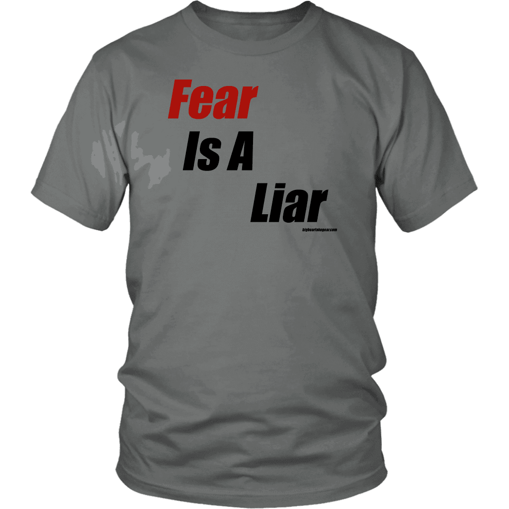 Fear is a Liar, Bold T-shirt District Unisex Shirt Grey S