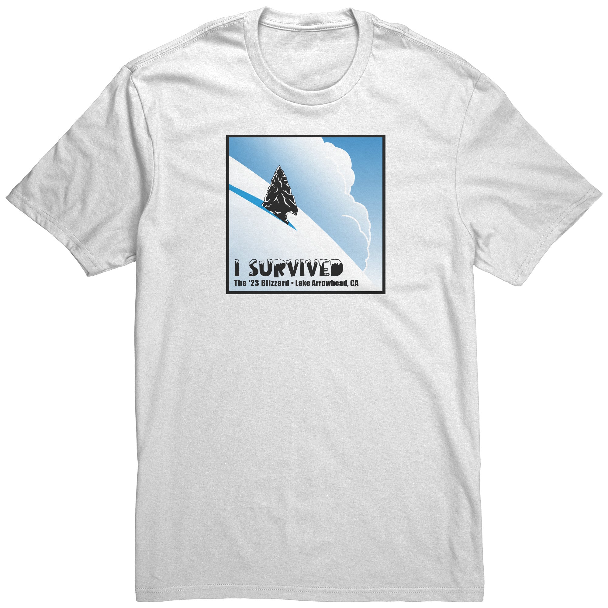 Lake Arrowhead Blizzard of 23