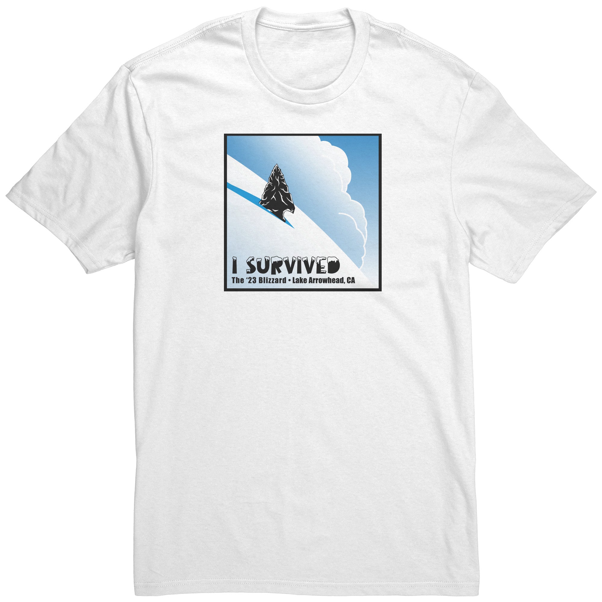 Lake Arrowhead Blizzard of 23