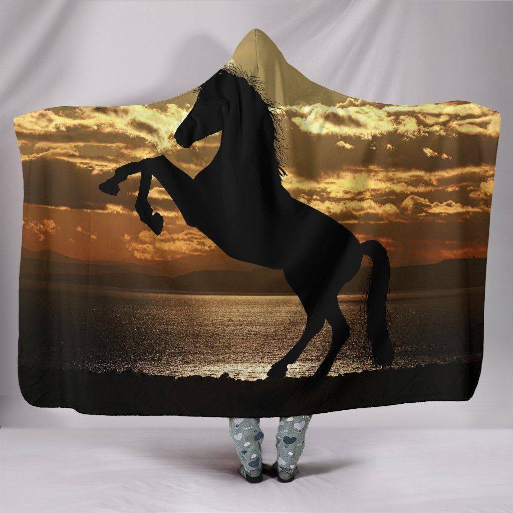 Amazing Horse Silhouette at Sunset 