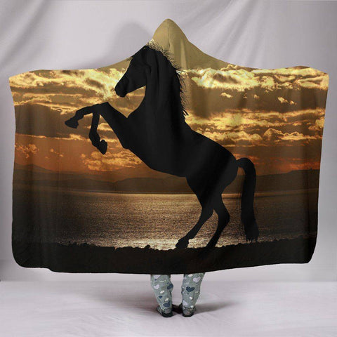 Image of Amazing Horse Silhouette at Sunset 