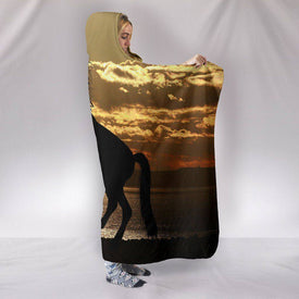 Amazing Horse Silhouette at Sunset