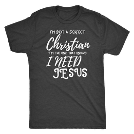Not A Perfect Christian, Shirts T-shirt Next Level Mens Triblend Vintage Black S