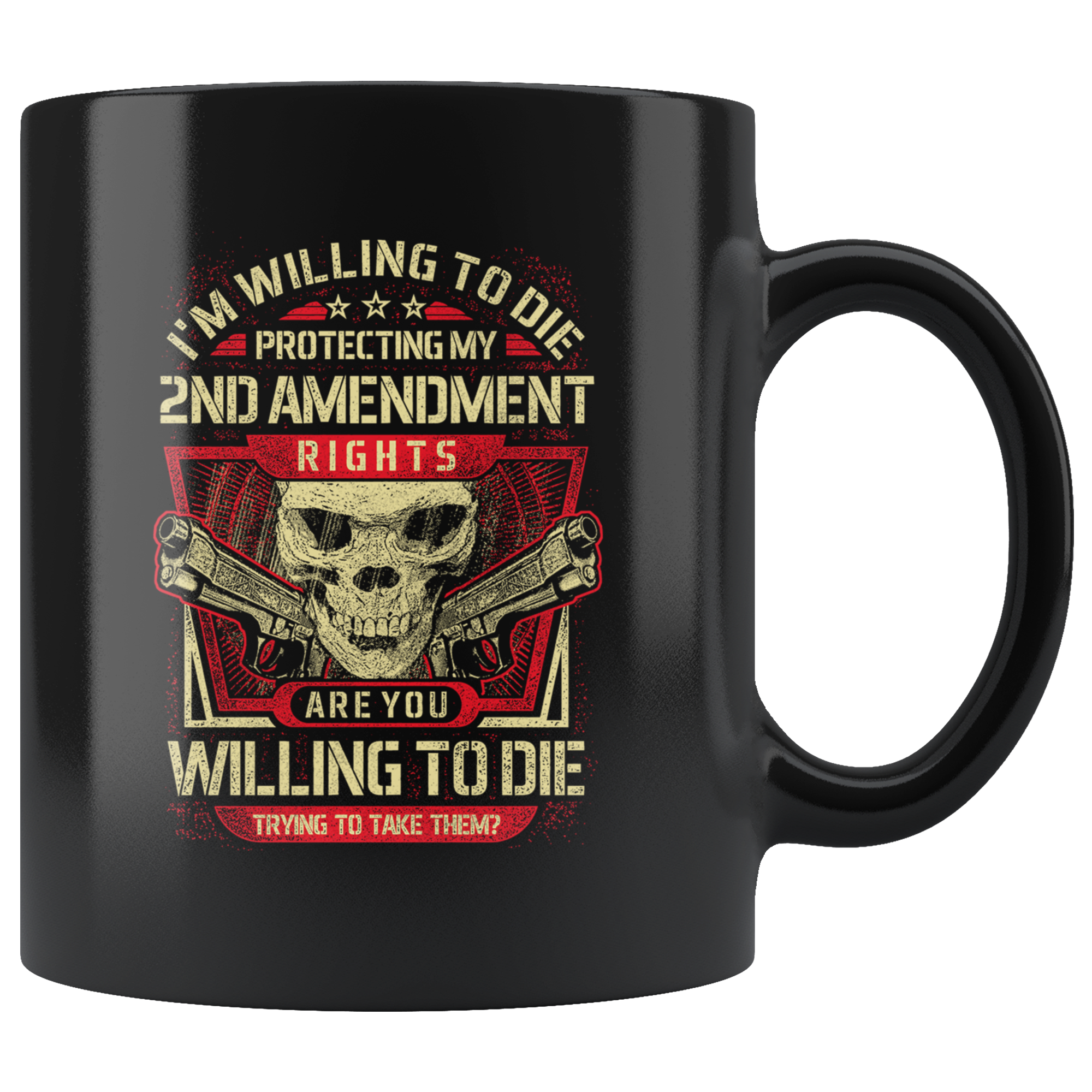 2A, I'll Protect My Rights