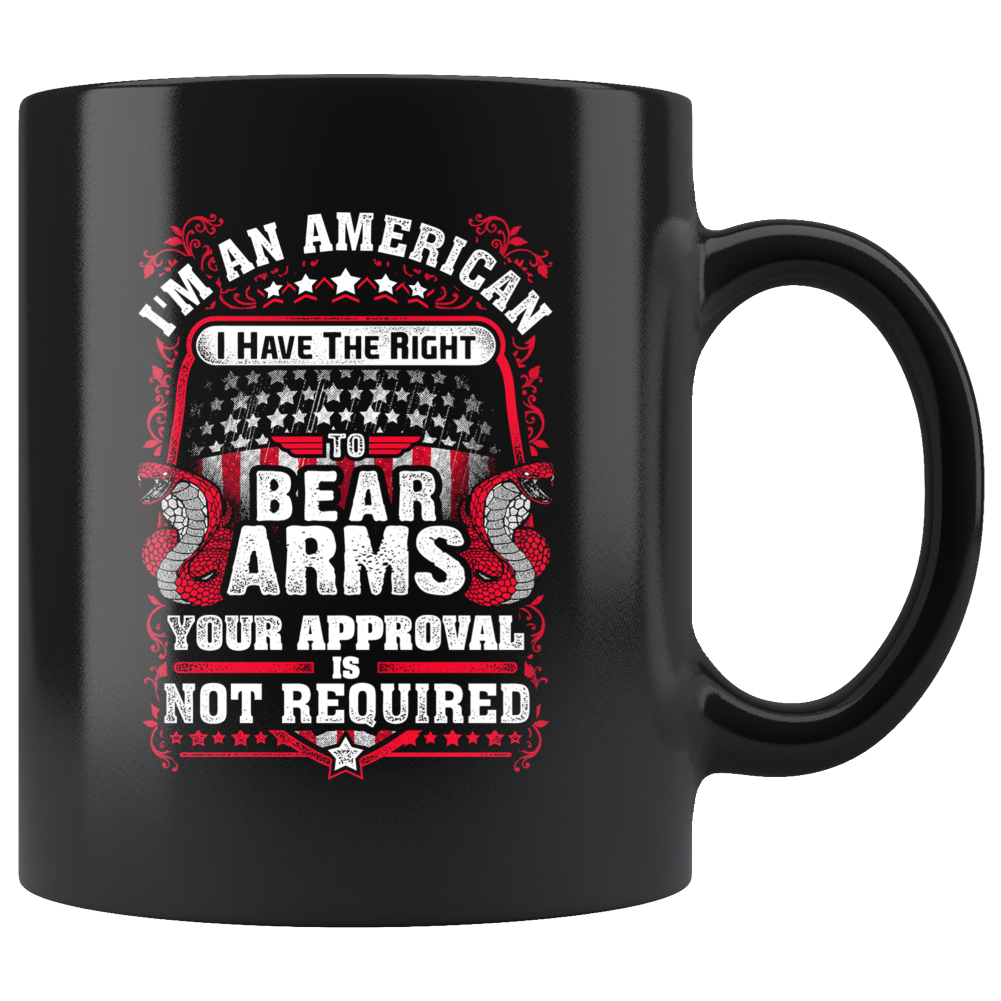 Right to Bear Arms