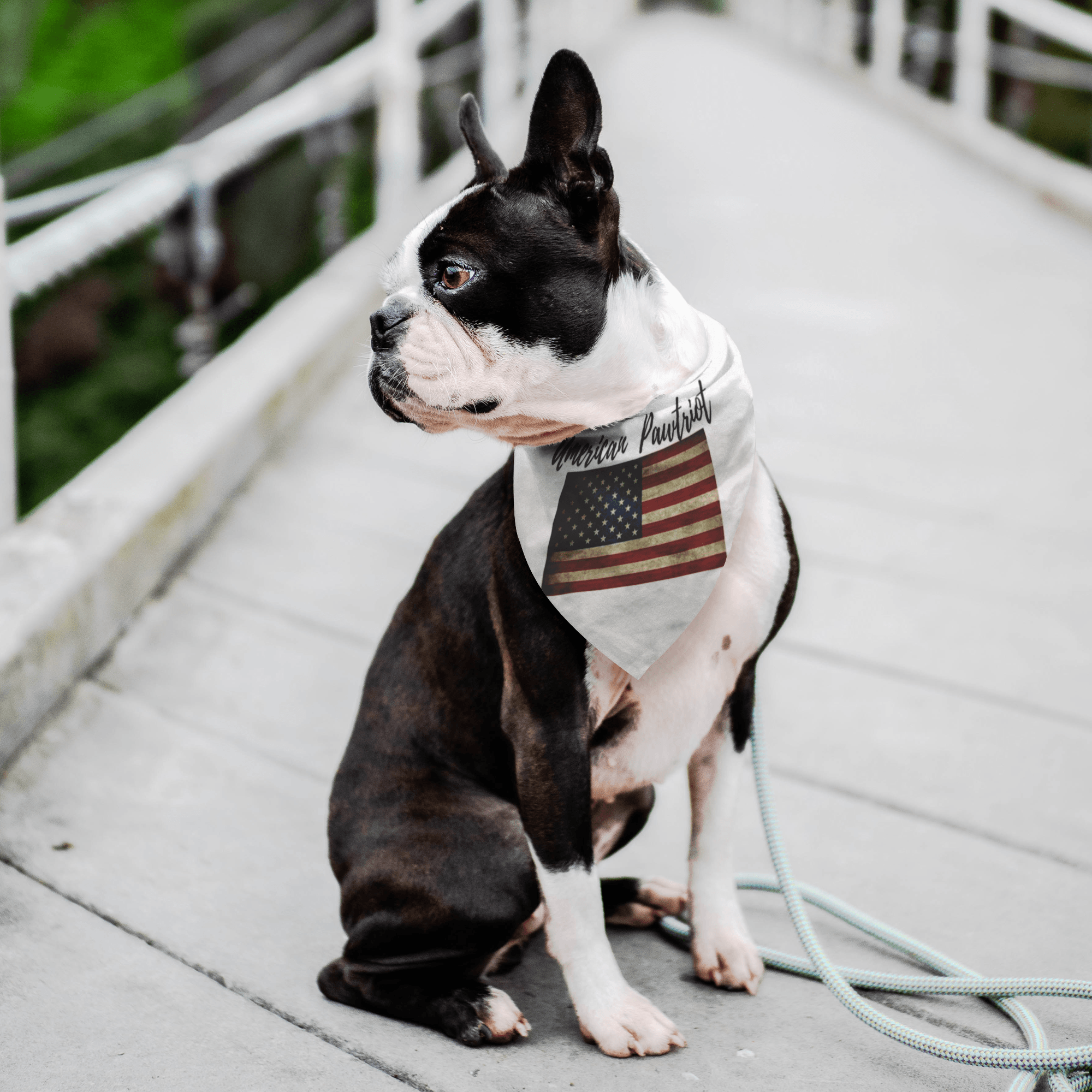 American Pawtriot Bandana V.2 Pet Bandana 